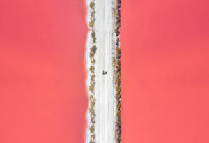 salins rose aigues mortes