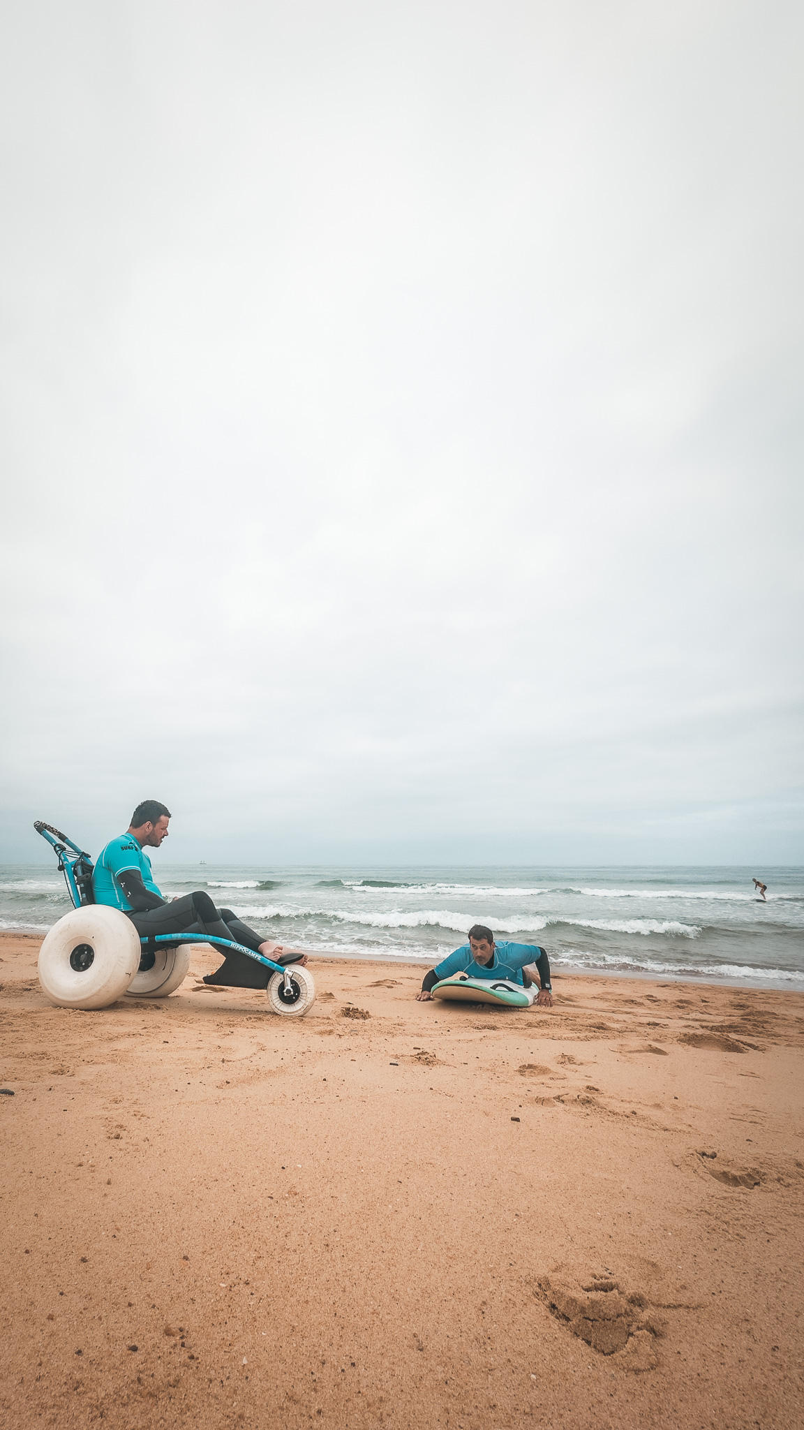 fauteuil de plage hippocampe